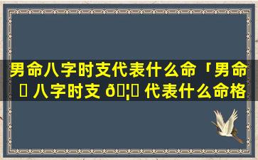 男命八字时支代表什么命「男命 ☘ 八字时支 🦅 代表什么命格」